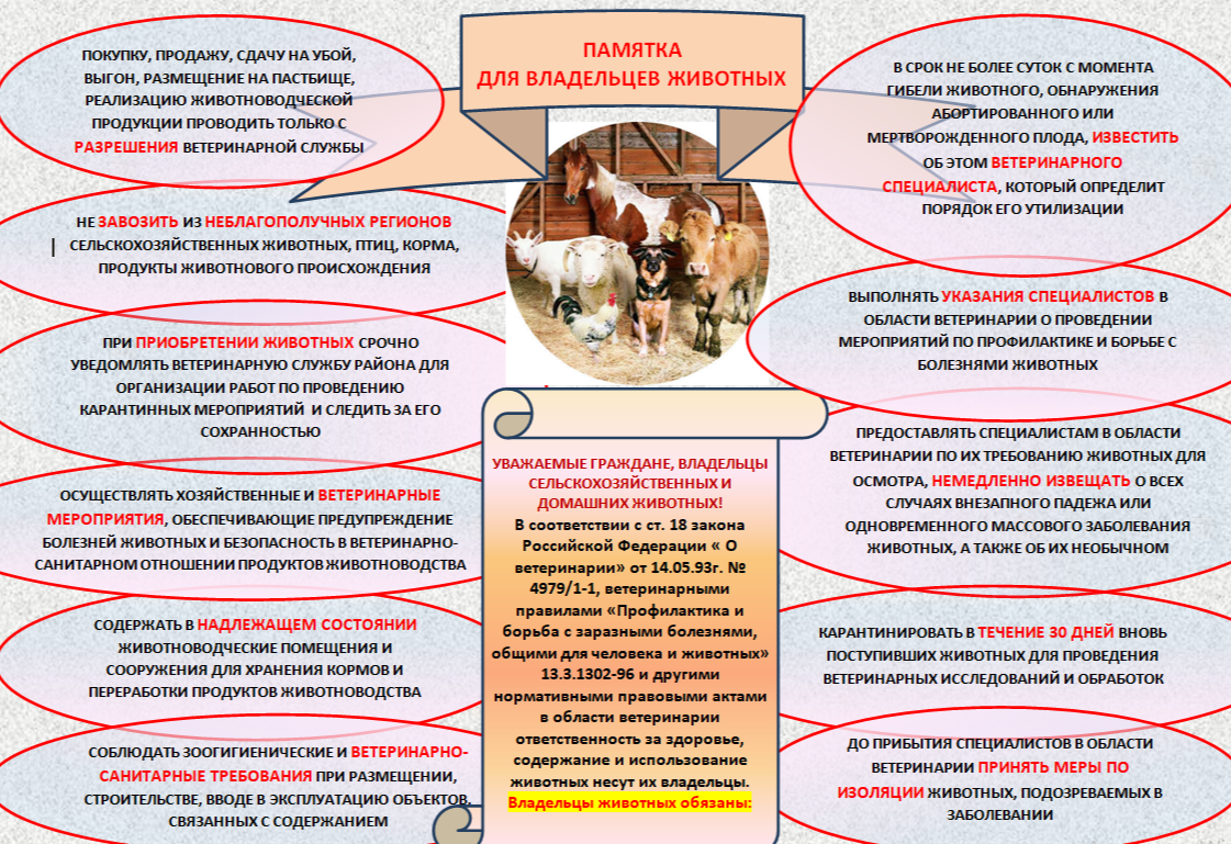 ПАМЯТКА ДЛЯ ВЛАДЕЛЬЦЕВ ЖИВОТНЫХ.