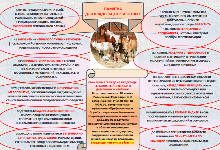 ПАМЯТКА ДЛЯ ВЛАДЕЛЬЦЕВ ЖИВОТНЫХ. ПАМЯТКА ДЛЯ ВЛАДЕЛЬЦЕВ ЖИВОТНЫХ.